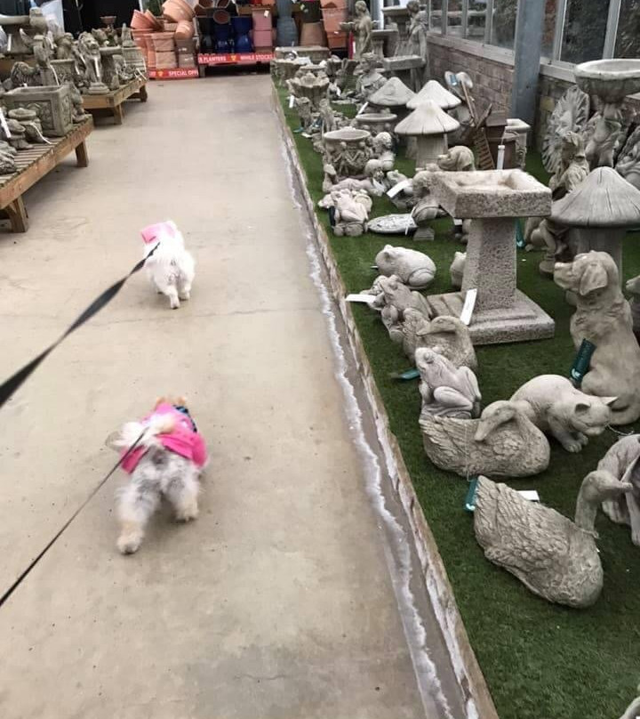Paradise Park景点图片