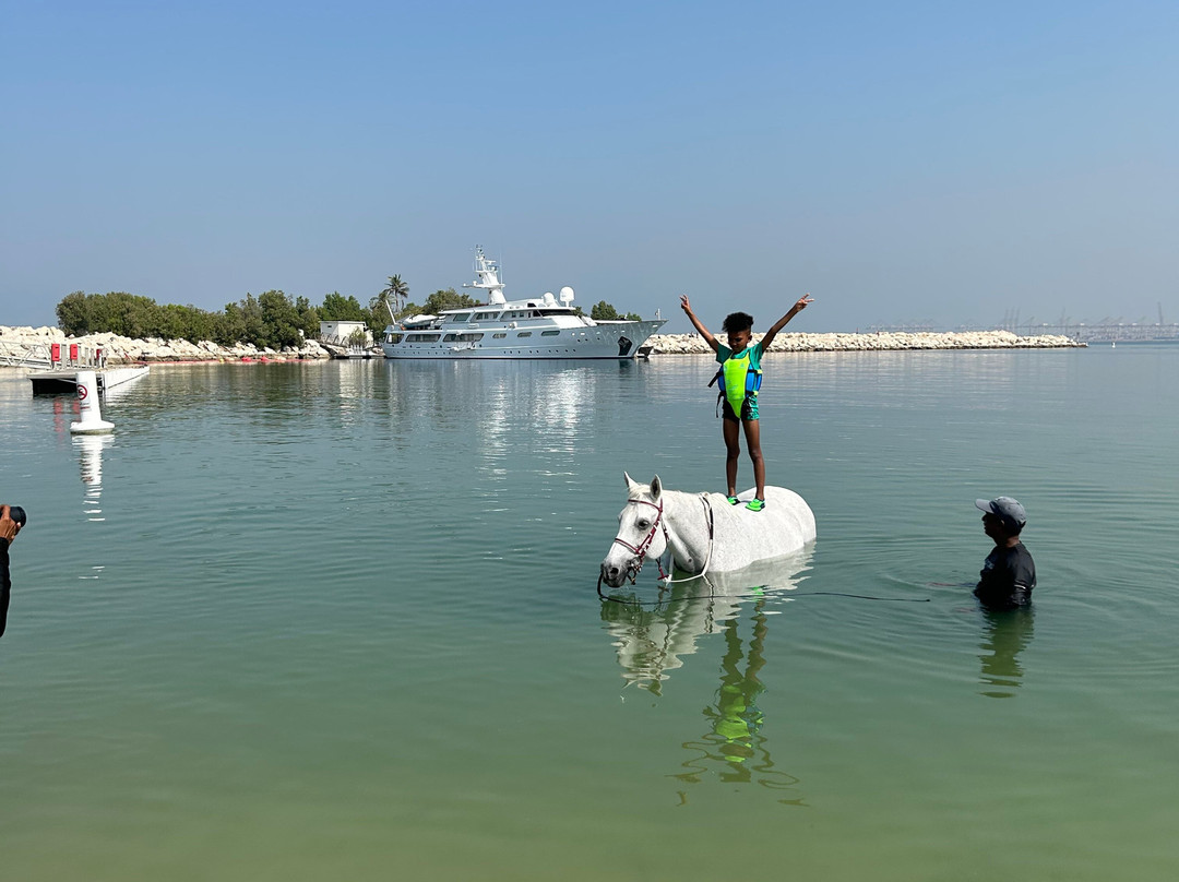 JA Equestrian Centre-杰贝阿里必去景点