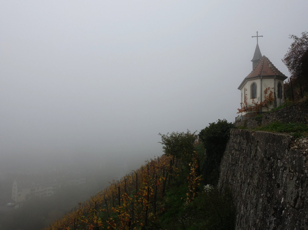 Vignoble Du Rangen-坦恩必去景点