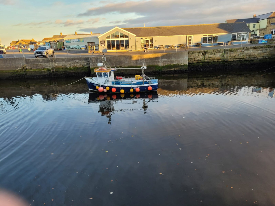 Amble Harbour Village景点图片