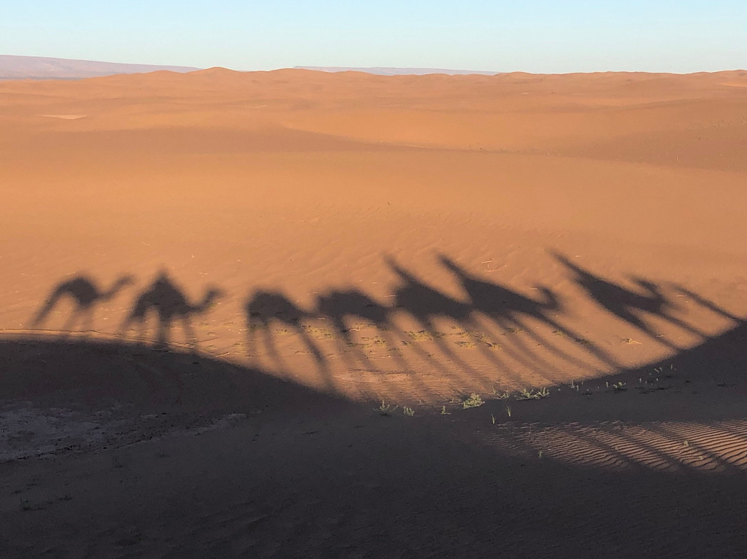 Auberge L'Oasis主图