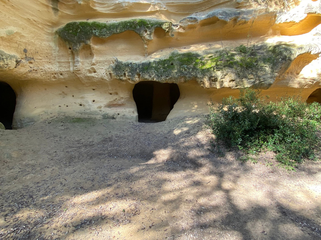 Grotte Gialle景点图片