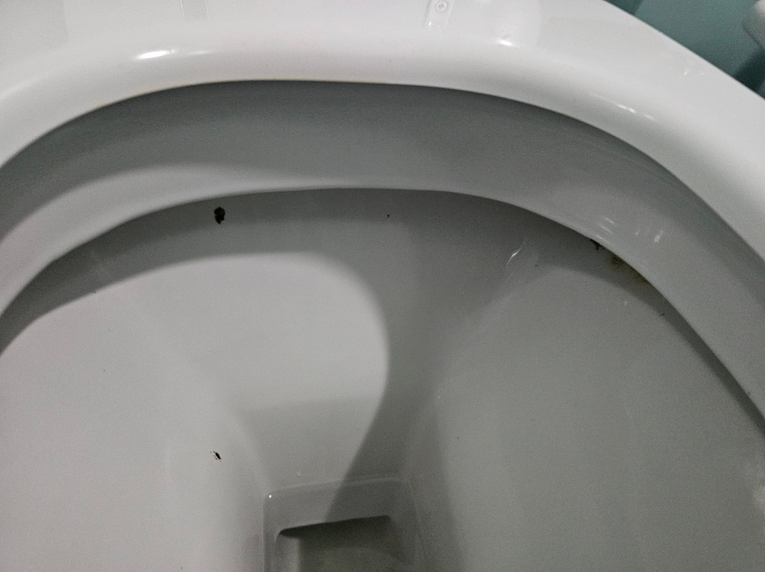 Albergo Athenaeum主图