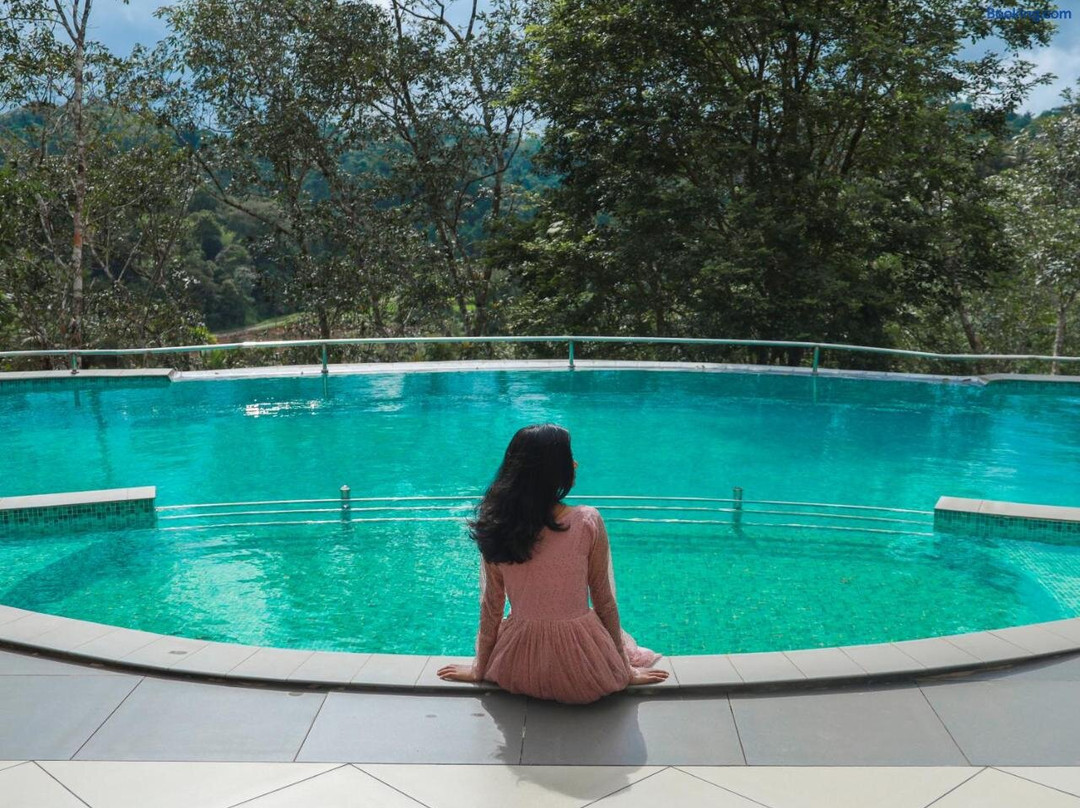 Serene Crest Resort主图