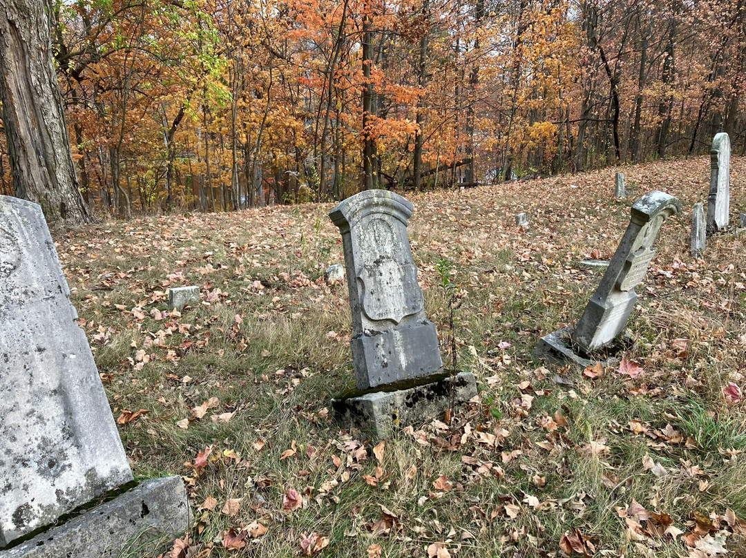 Schekelhoff Park-Tiffin必去景点
