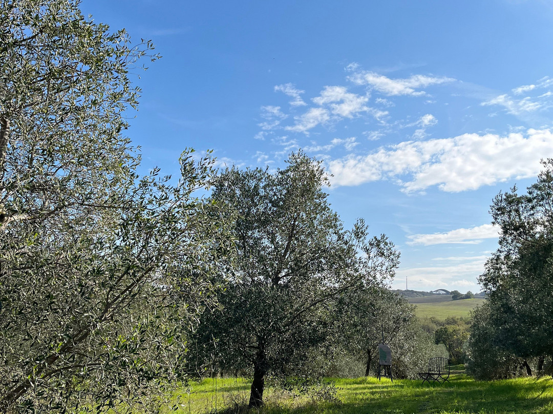Azienda Agricola Invidia-皮恩扎必去景点