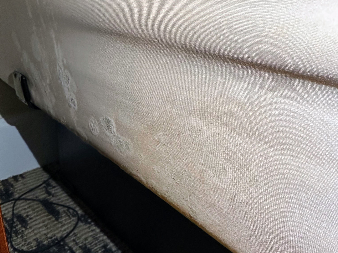 La Fiesta Ocean Inn & Suites主图