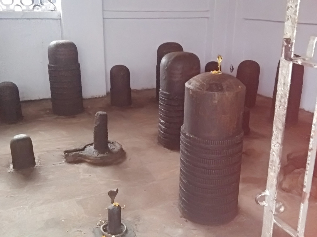 Maa Biraja Temple景点图片