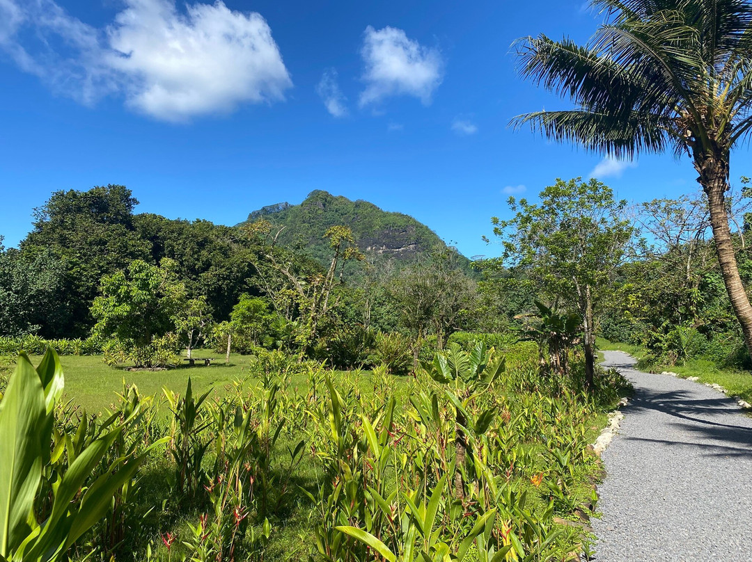De Raiatea Botanical Garden-Taputapuapea必去景点