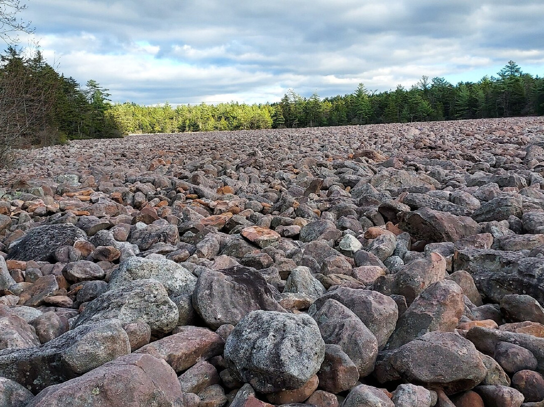 Boulder Field景点图片