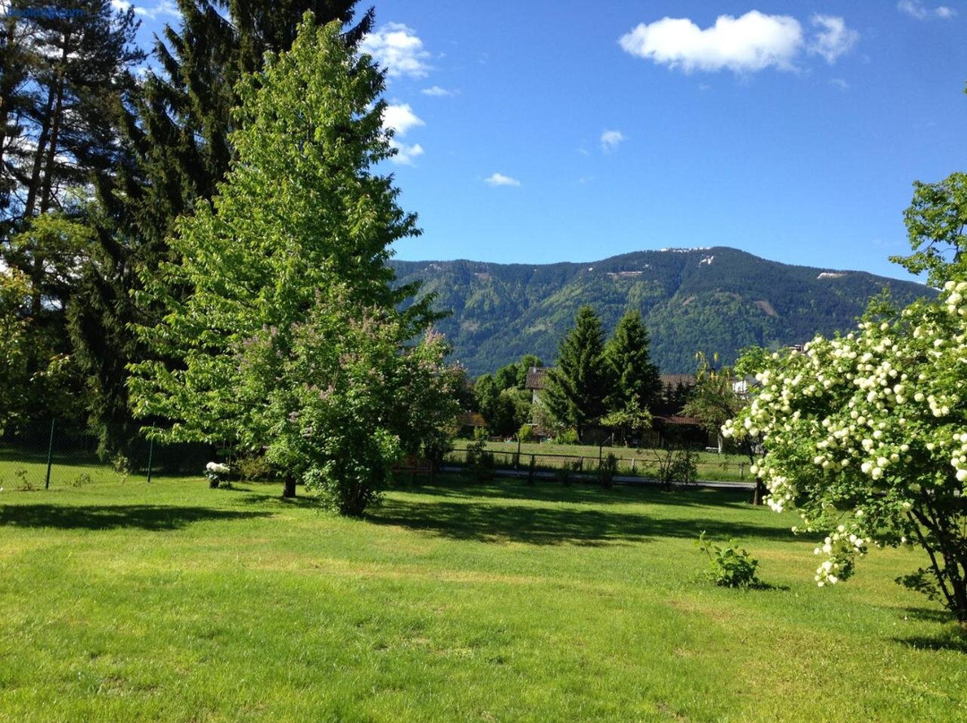 Villa Alpenchic
