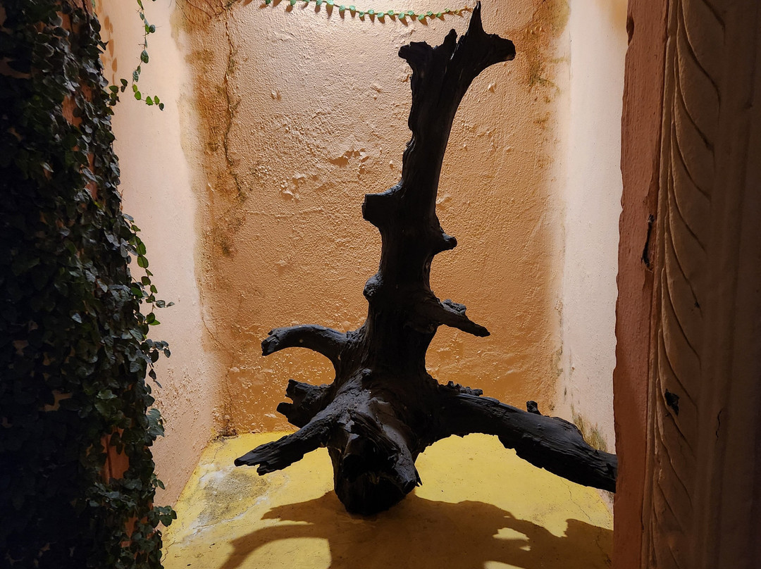 Tuli Tiger Resort主图