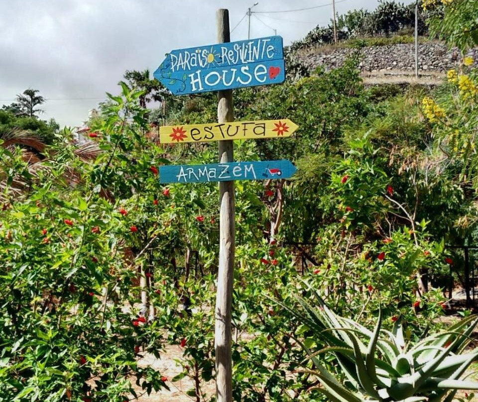 Paraíso Resiliente