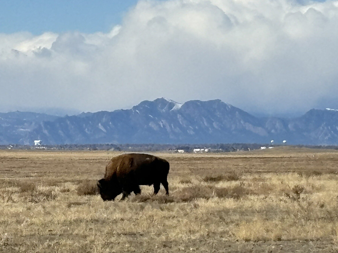 Rocky Mountain Arsenal National Wildlife Refuge景点图片