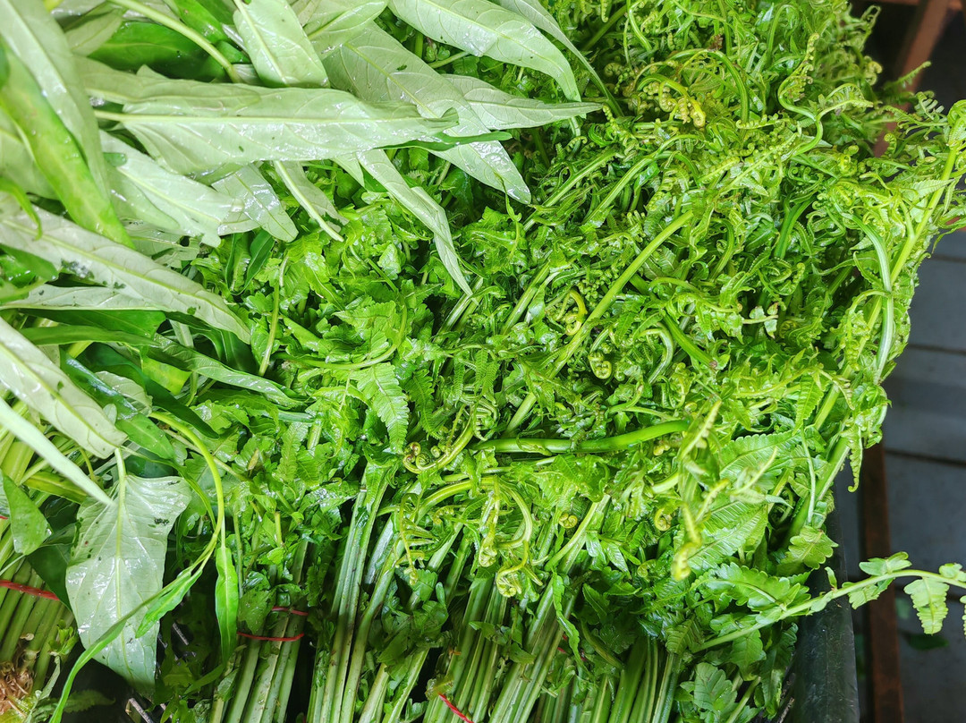 Borneo Climb & Dive-亚庇必去景点