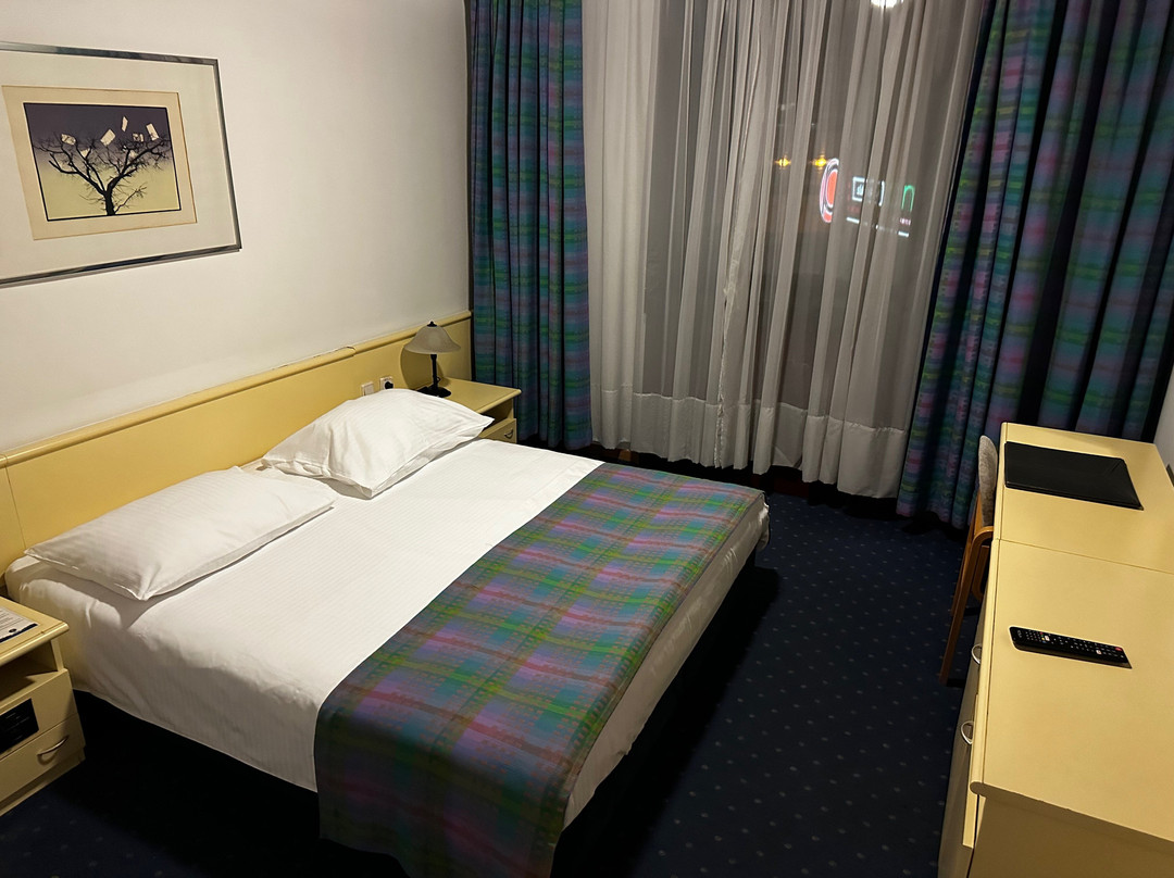 Hotel Slavija Garni主图