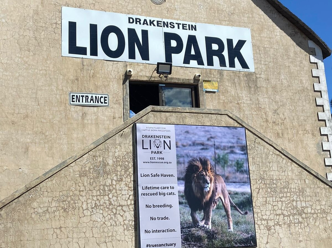Drakenstein Lion Park-西开普必去景点