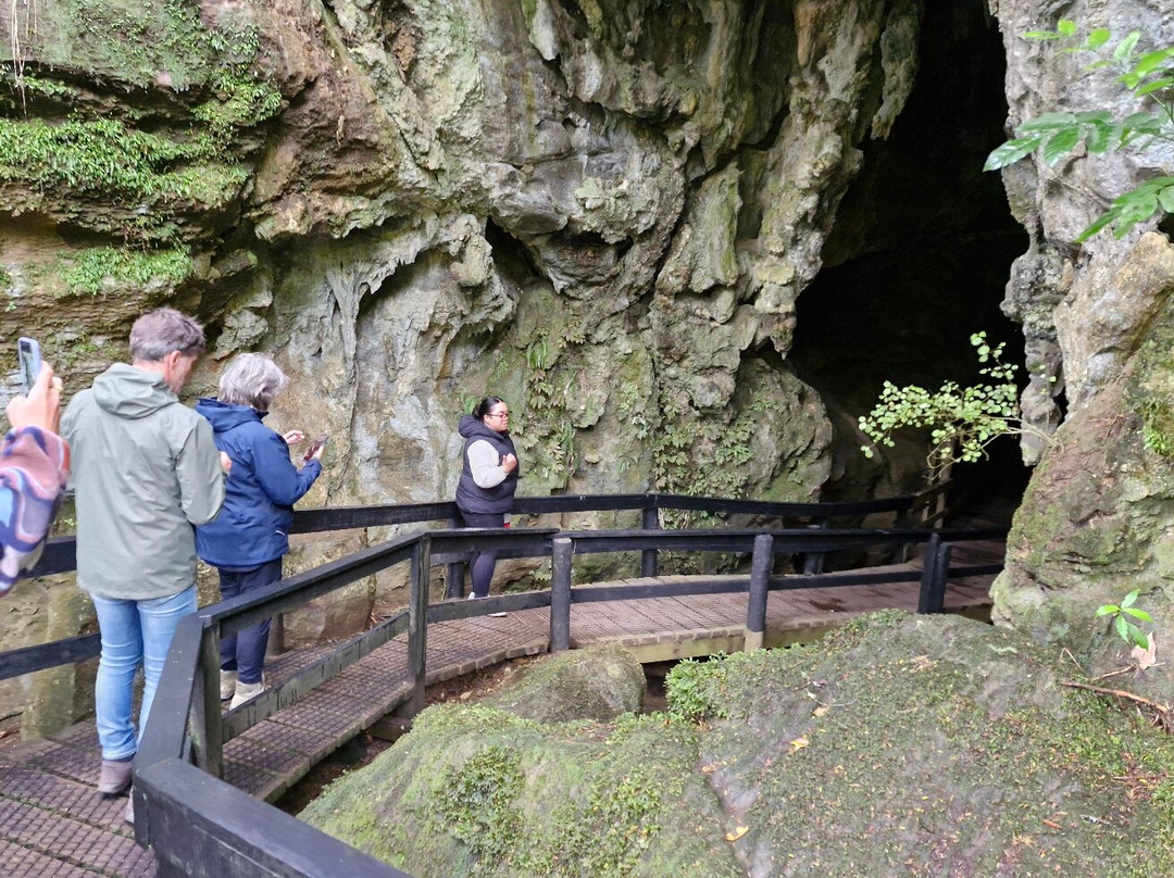 Kawiti Glow Worm Caves景点图片