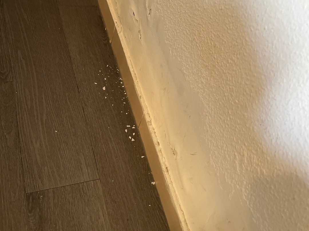 阿维尼达德尔索提约酒店主图