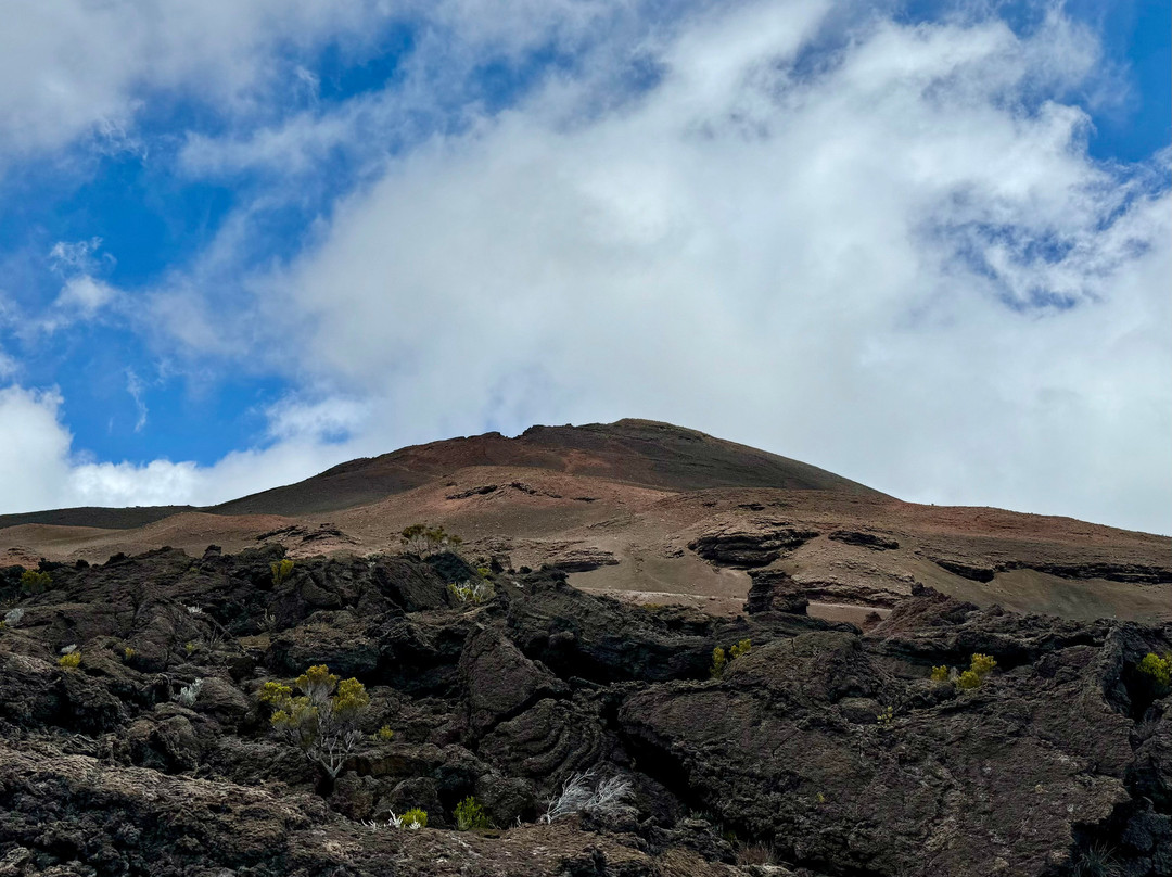 Bureau Rando Volcan - Tunnels De Lave Réunion景点图片