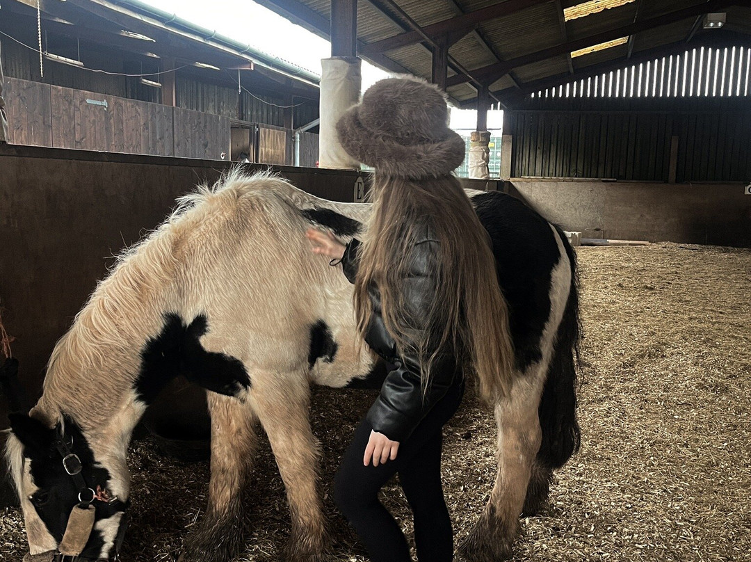 Noakes Farm Riding Centre景点图片