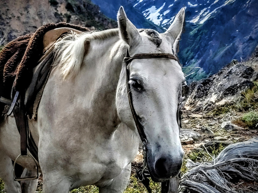 Ecoturismo Lago Puelo