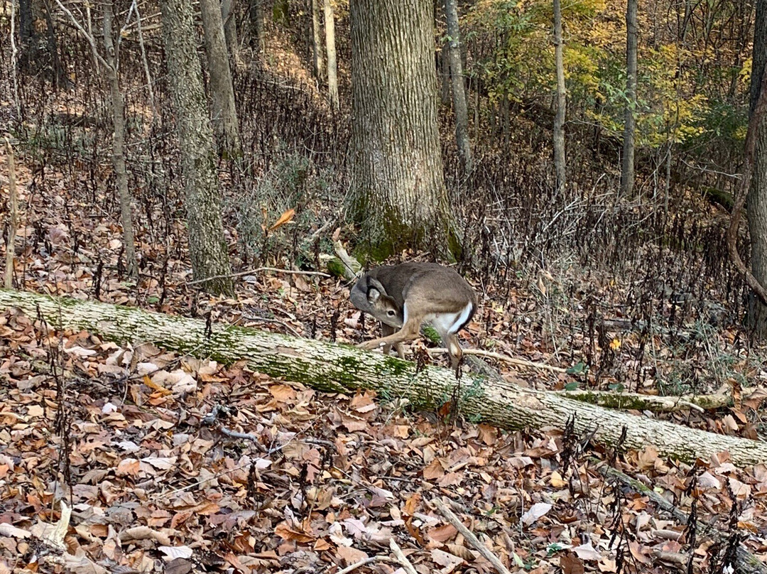Radnor Lake State Park-纳什维尔必去景点