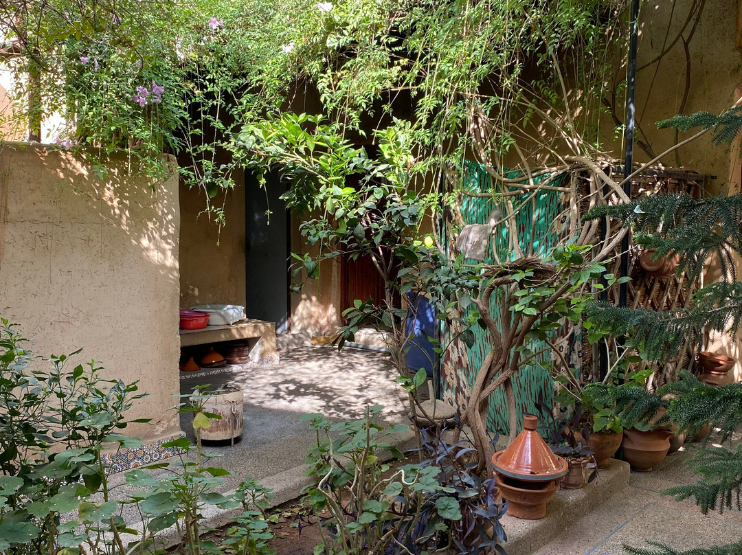 Oasis de Tiout主图