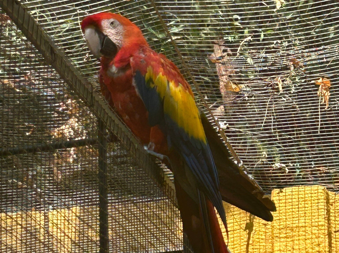Parc Exotique Du Sénégal景点图片
