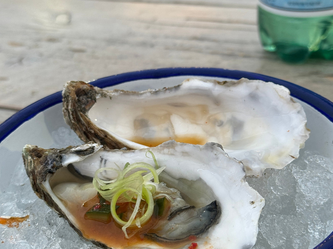 Artsy Tours-阿姆斯特丹必去景点