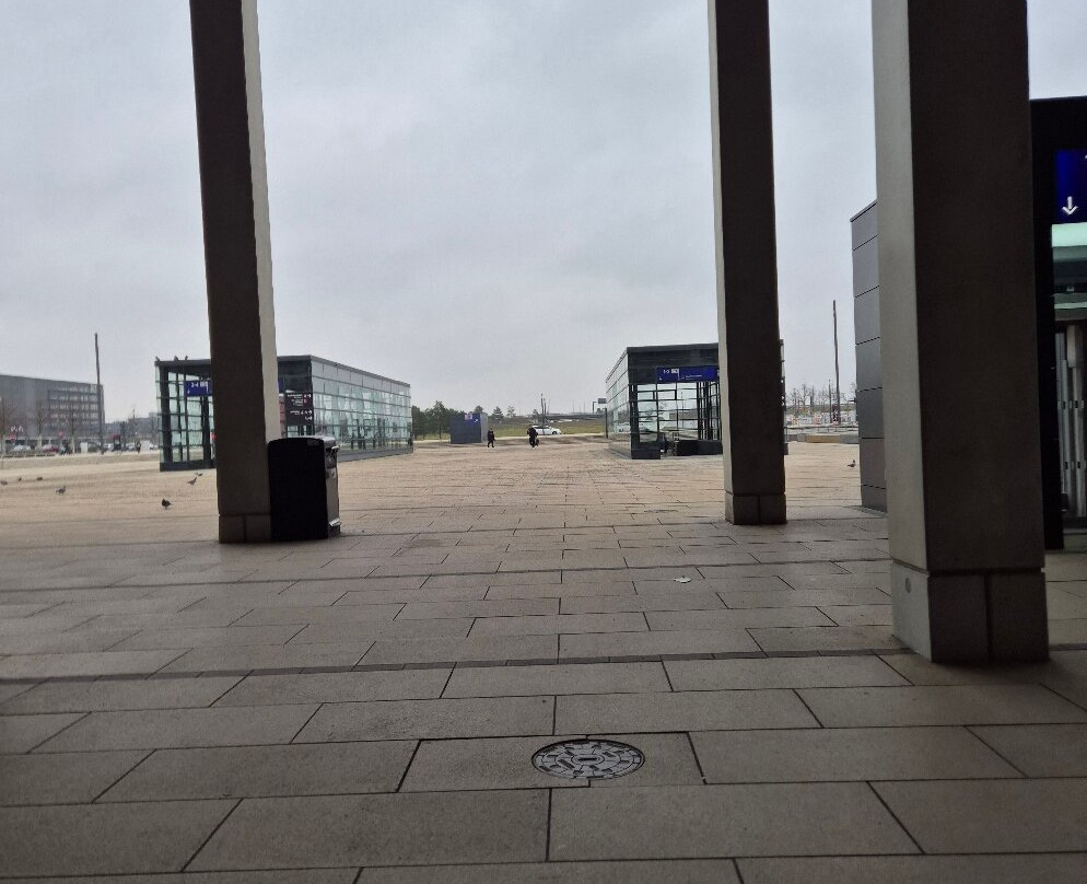 Willy Brandt Platz-舍内费尔德必去景点