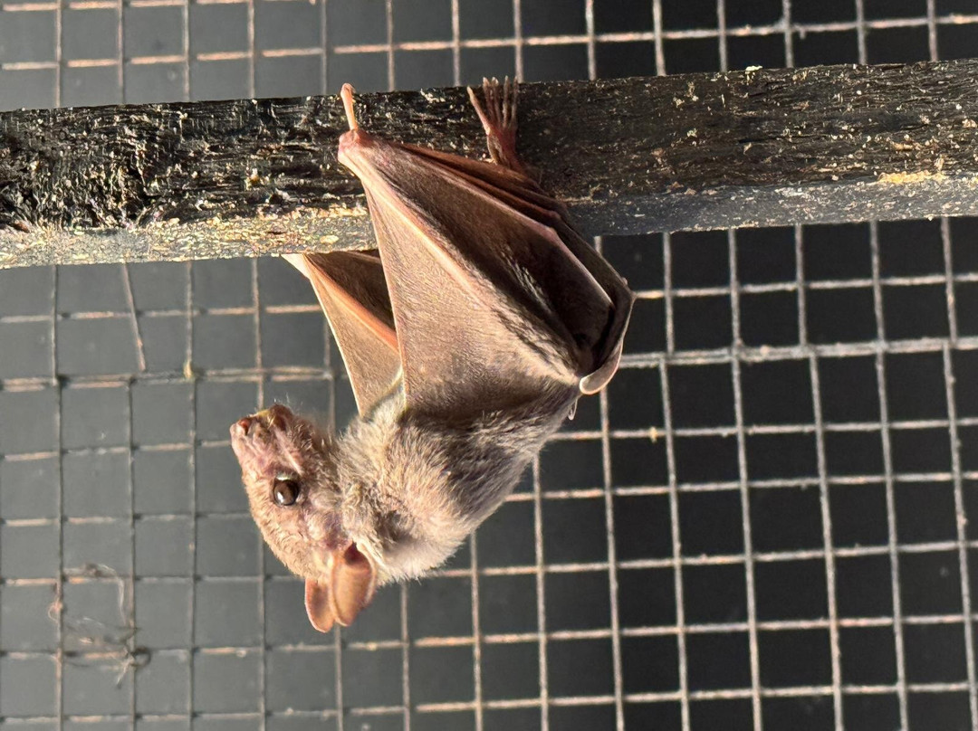 Hurghada Grand Aquarium-赫尔格达必去景点