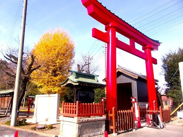 Washinomiya Shrine-久喜市必去景点