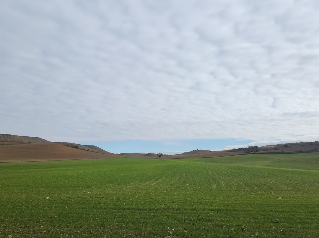 Barrancas De Burujón-Burujon必去景点