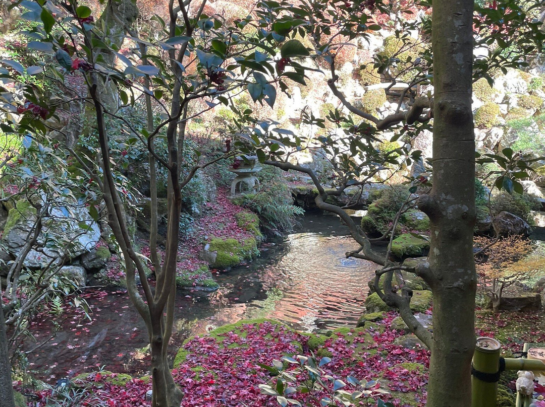 Yokokuji Temple-长冈京市必去景点