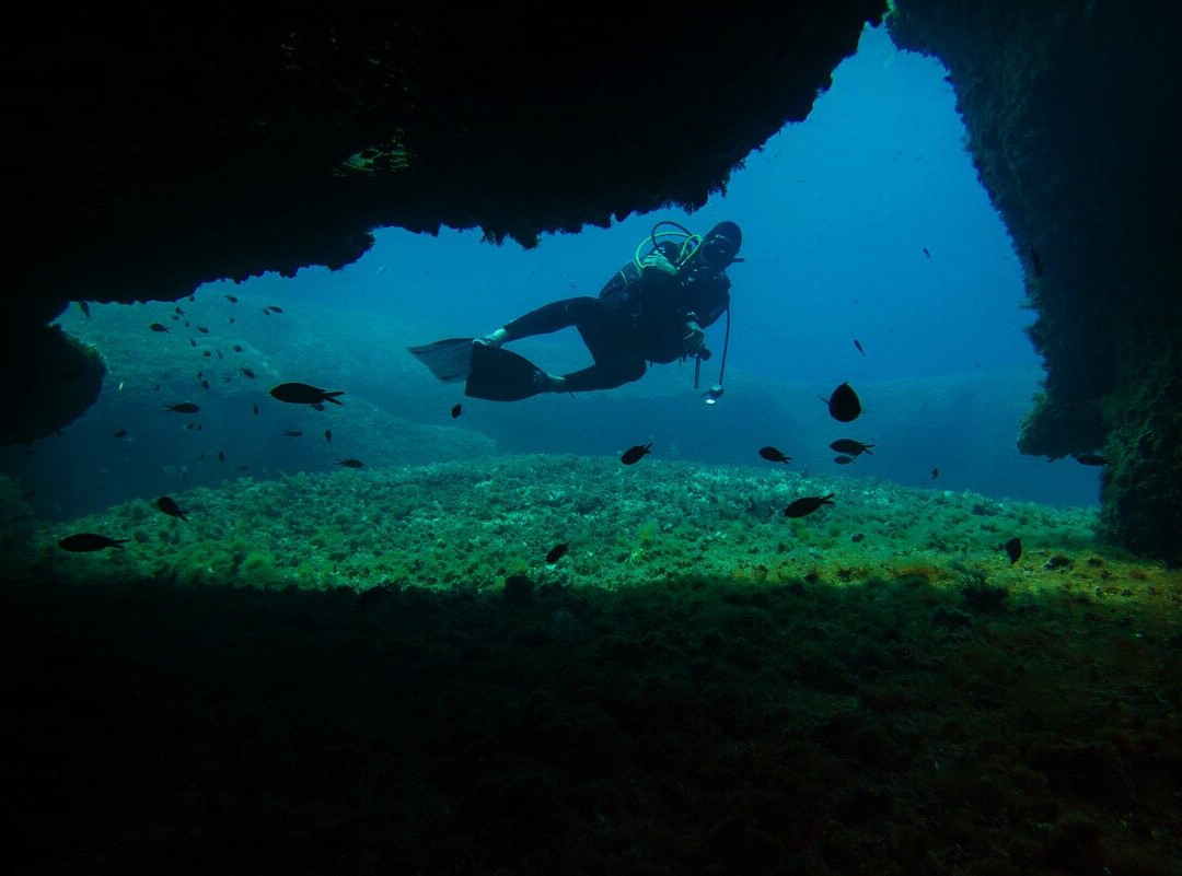 Pollo Diving ASD