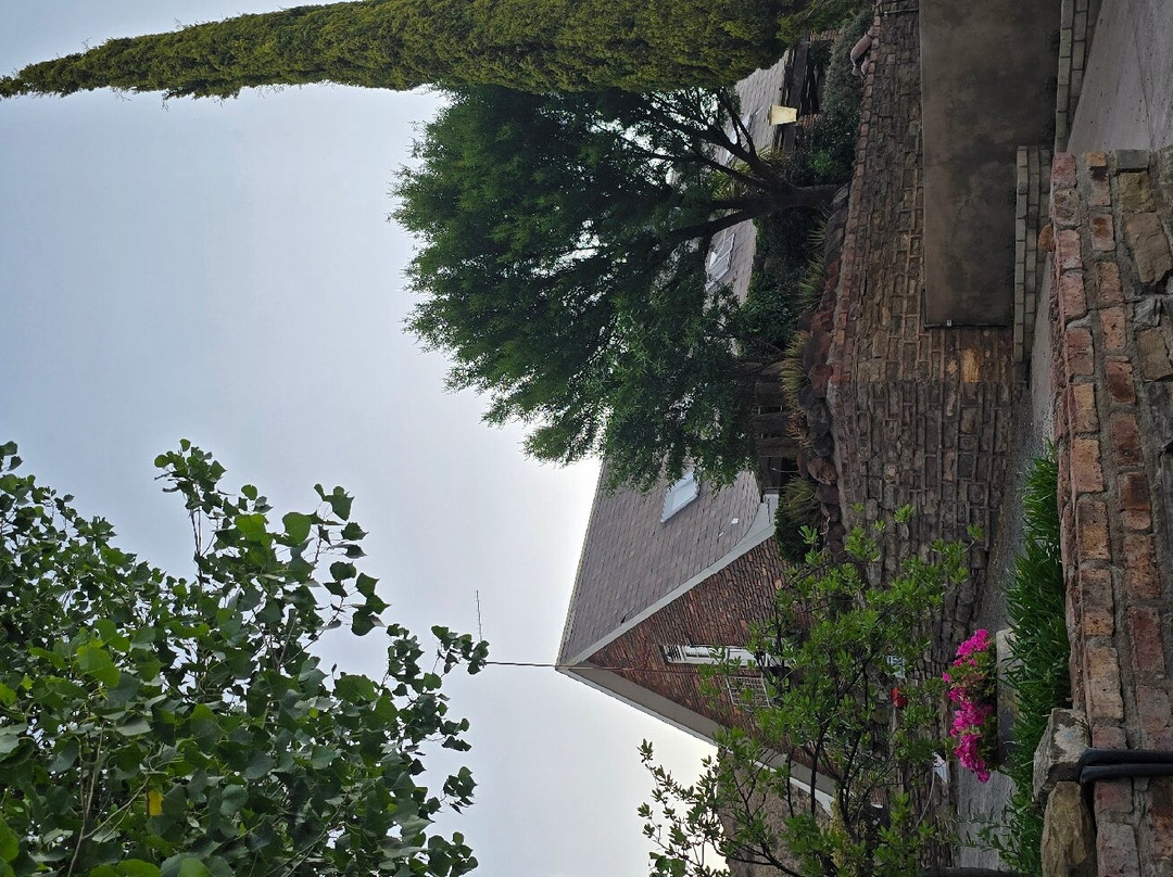 Desert Dew Guesthouse主图