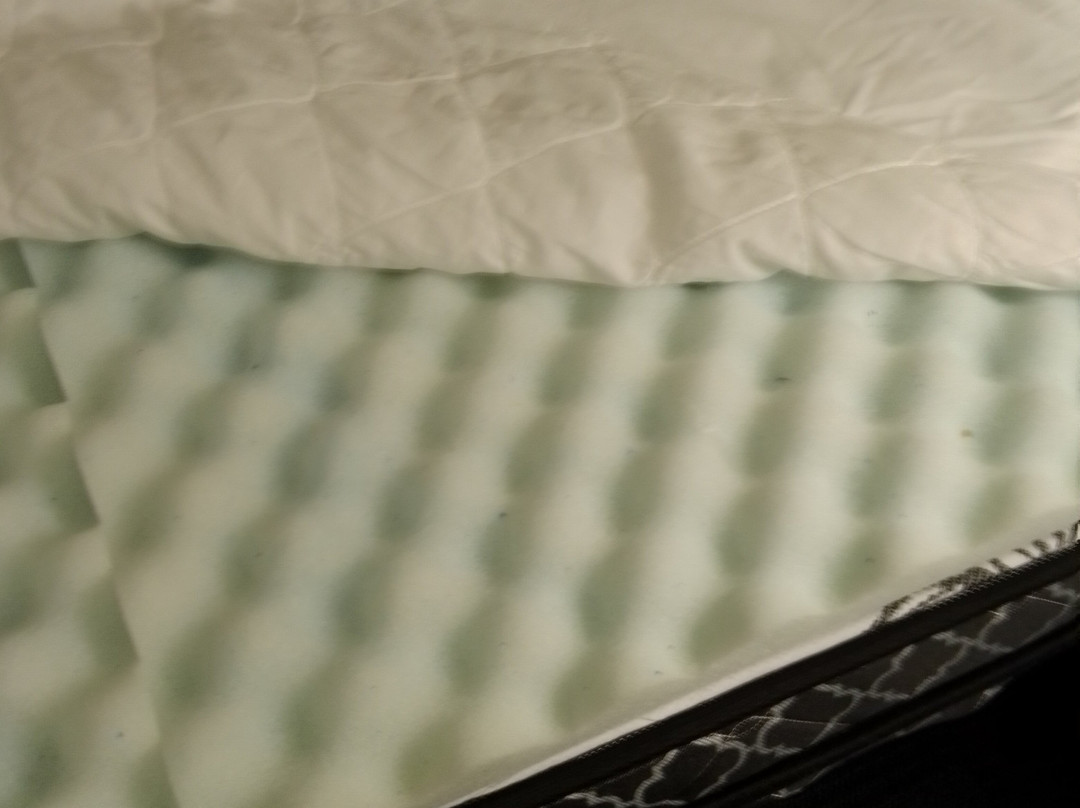 Quality Inn Peterborough主图