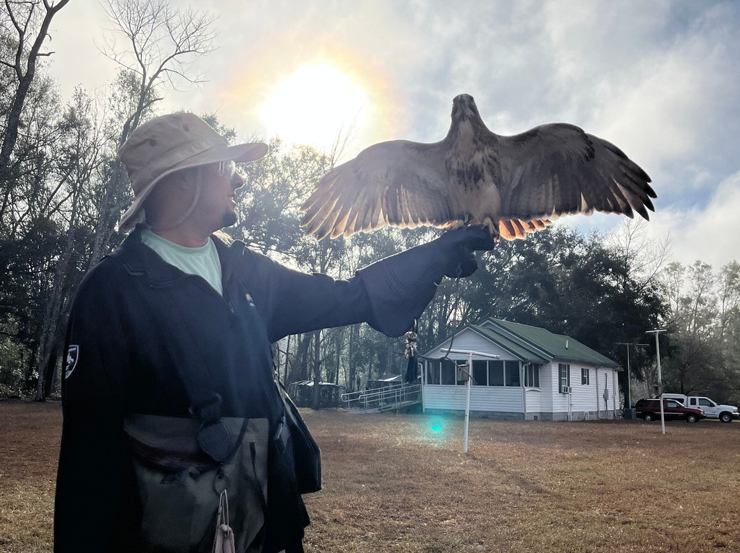 International Falconry Academy-Live Oak必去景点