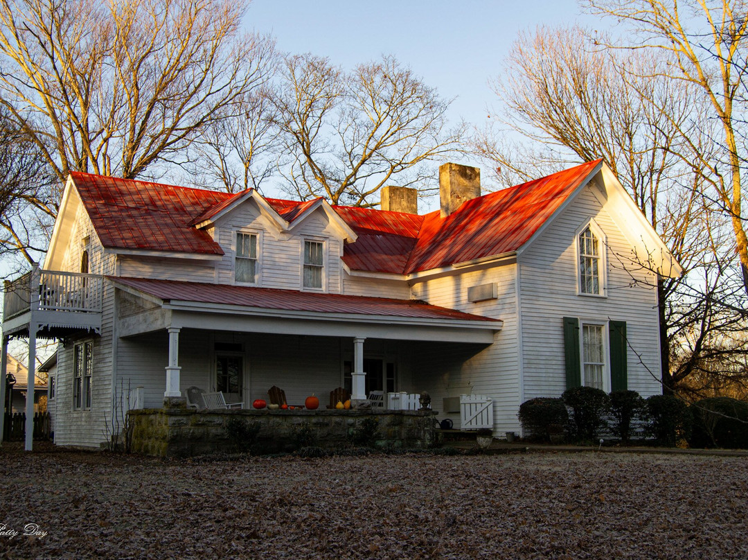 Mulberry Lavender Farm and B&B主图