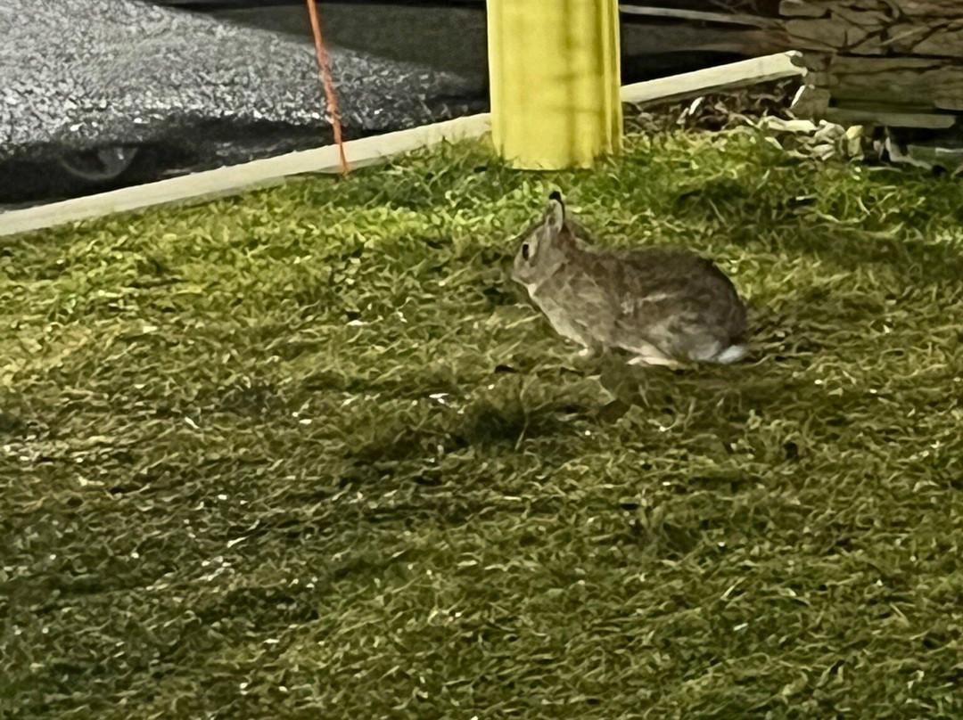 海恩尼斯戴斯酒店主图