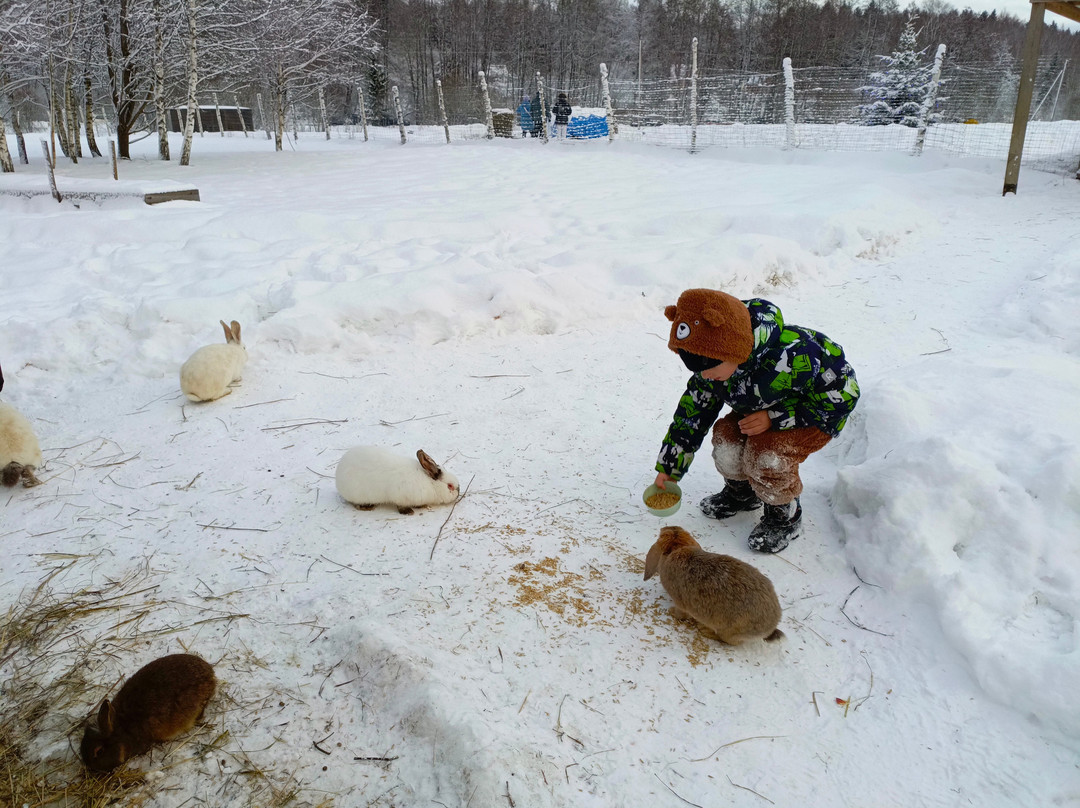 Deer farm Bambi Land景点图片