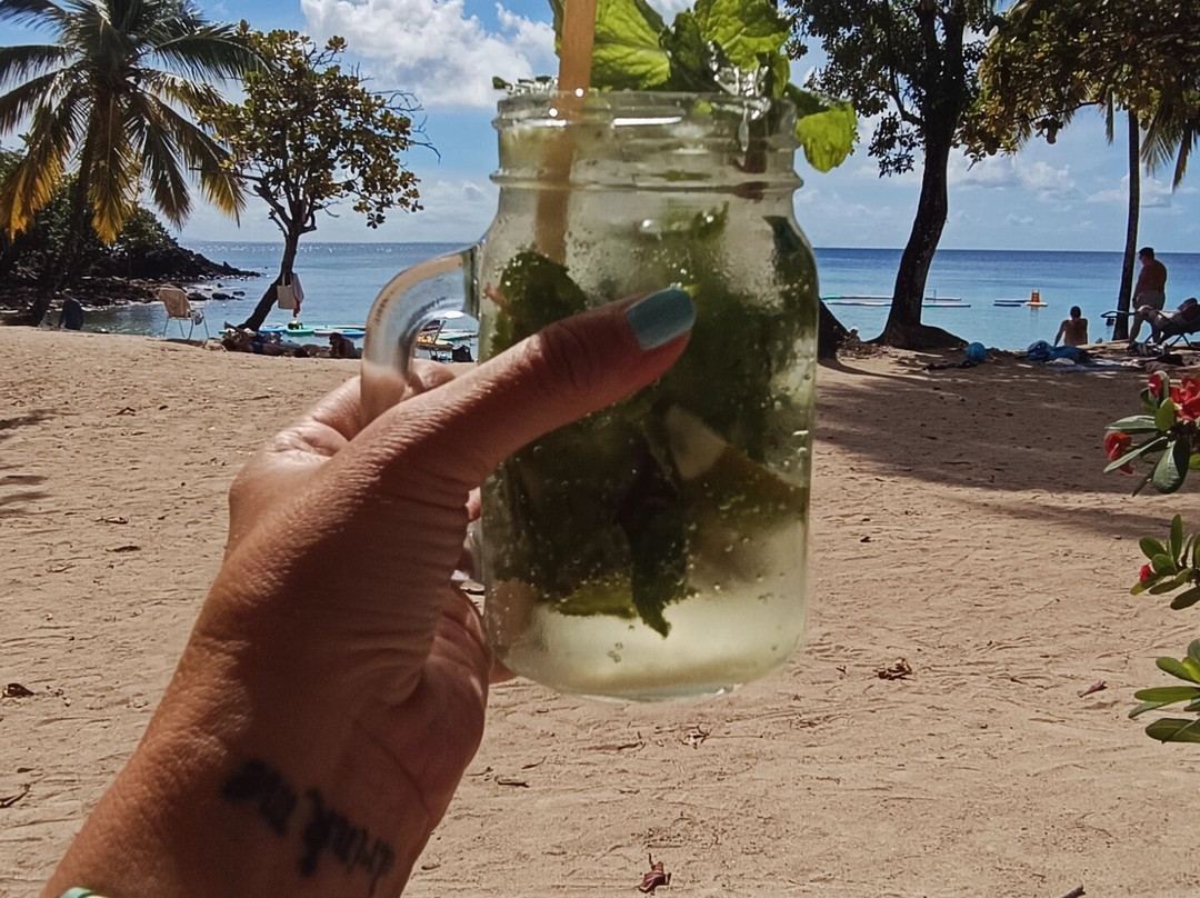 Anse Figuier-Riviere-Pilote必去景点