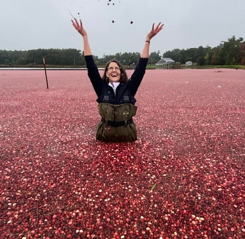Benson's Pond Cranberry Family Farm-Middleboro必去景点