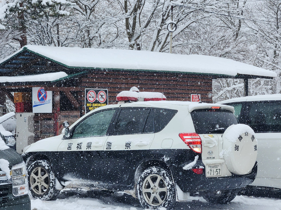 Miyagi Zao Fox Village-白石市必去景点