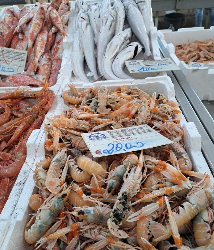Mercato del Pesce di Trapani-特拉帕尼省必去景点