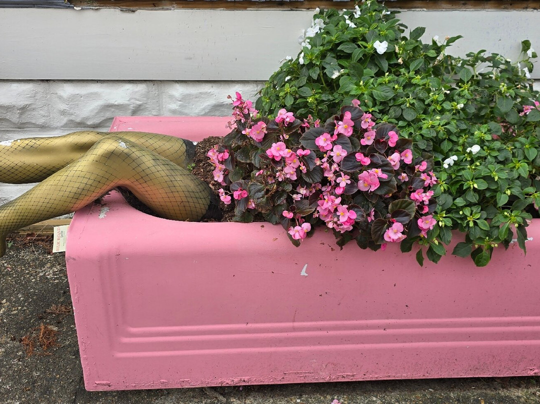 马里尼近郊-新奥尔良必去景点