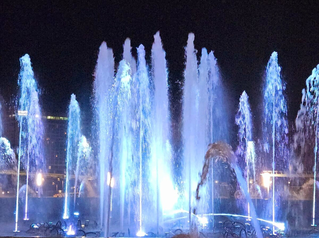 Friendship Fountain-杰克逊维尔必去景点