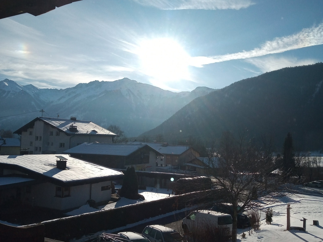 Wohlfühlpension Alpenhof主图