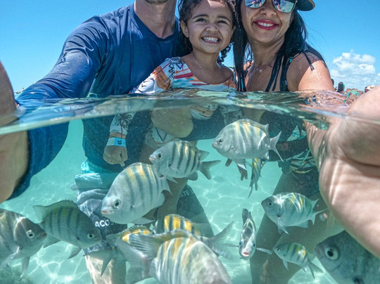 Turistando Porto de Galinhas - Receptivo-嘎林海斯港必去景点